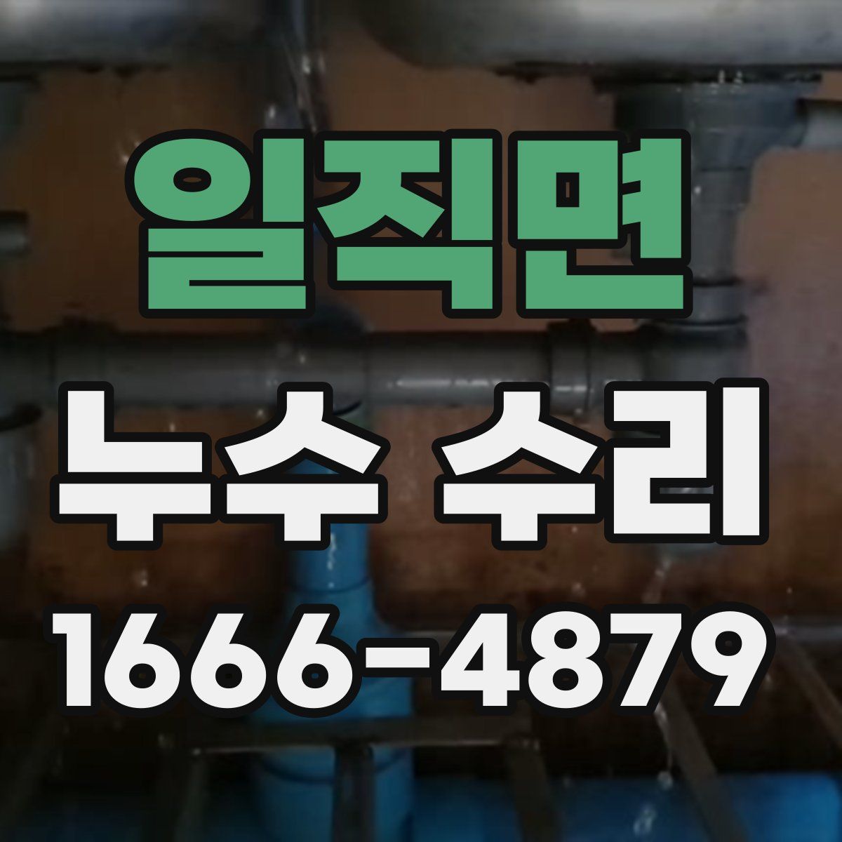 일직면 누수 수리