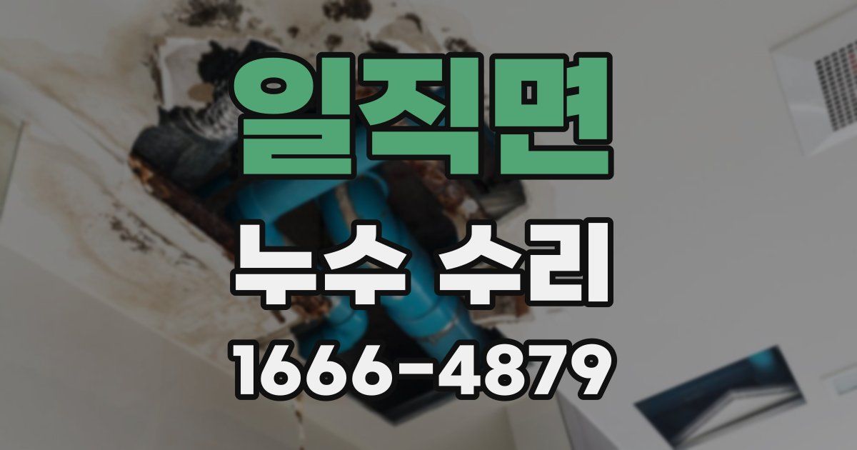 일직면 누수 수리