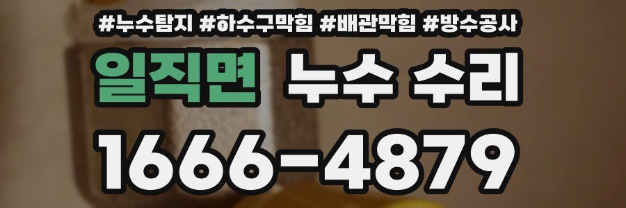 일직면 누수 수리