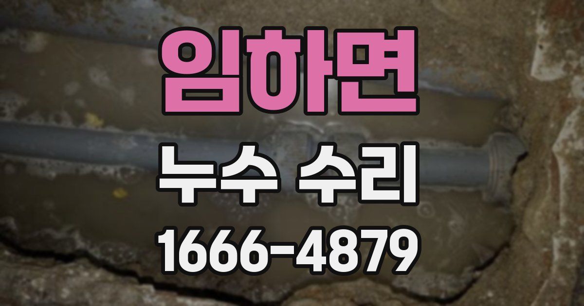 임하면 누수 수리