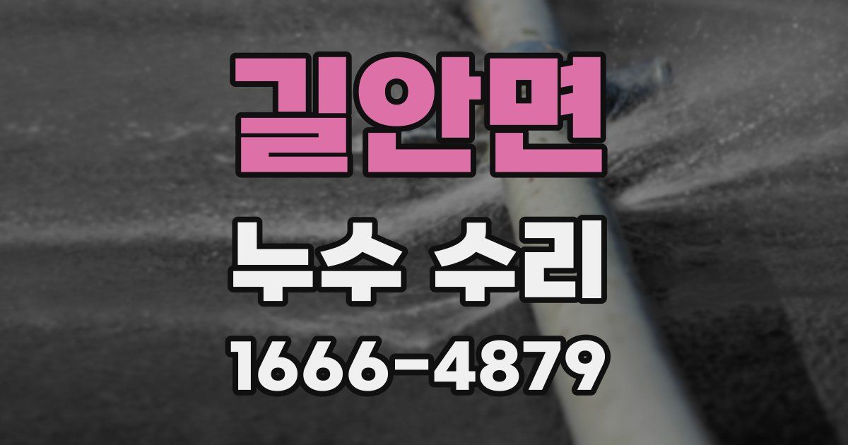 길안면 누수 수리