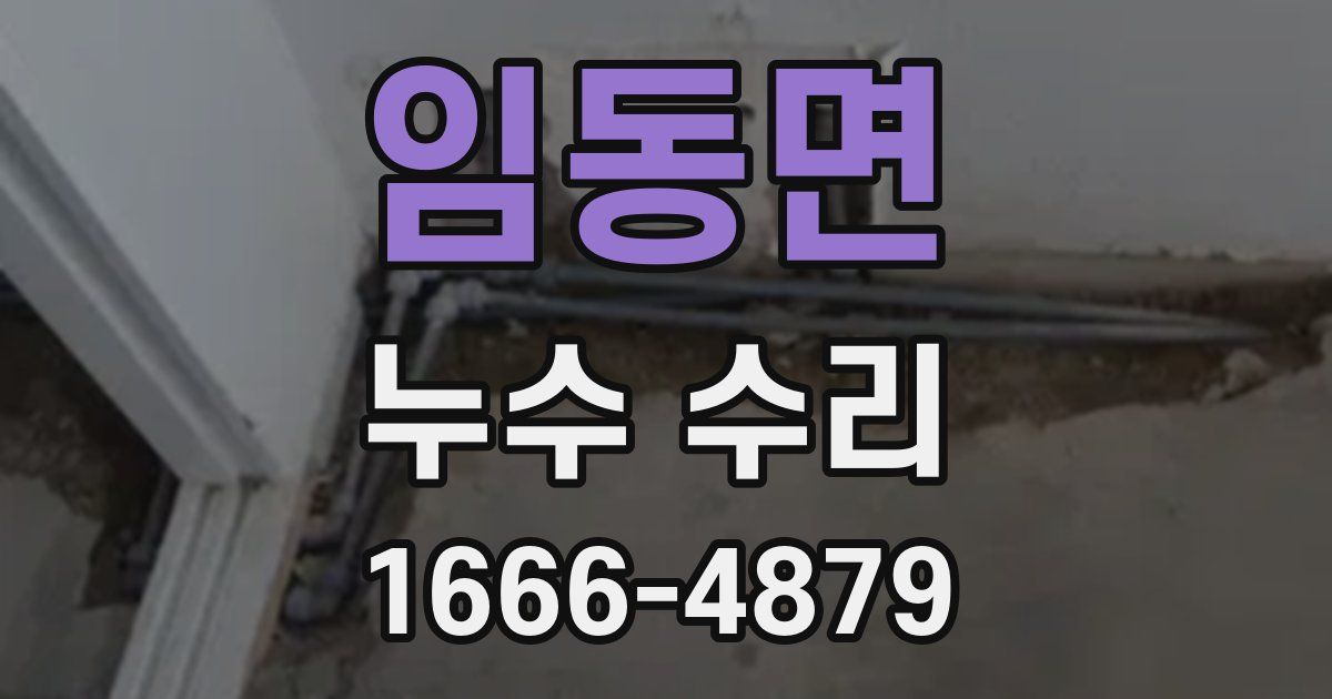 임동면 누수 수리