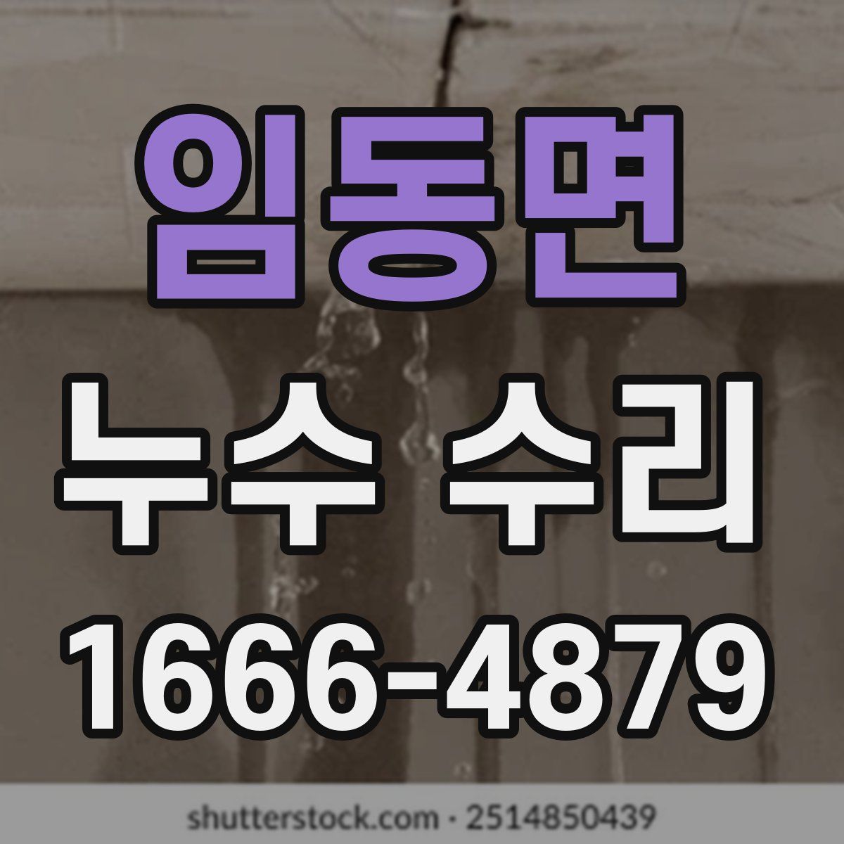 임동면 누수 수리