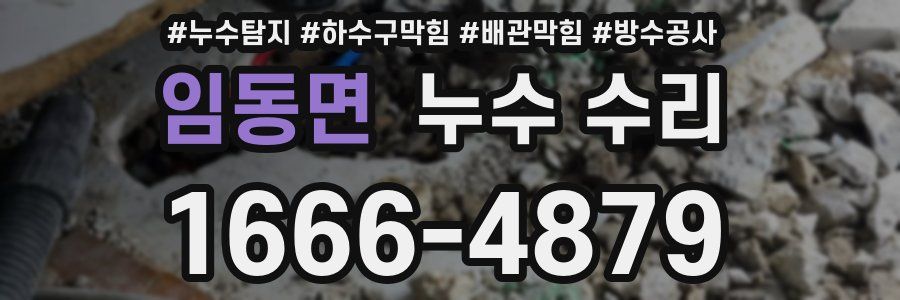 임동면 누수 수리