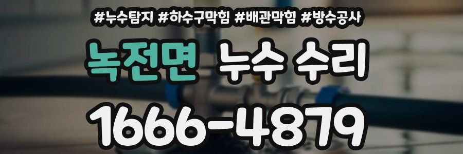 녹전면 누수 수리