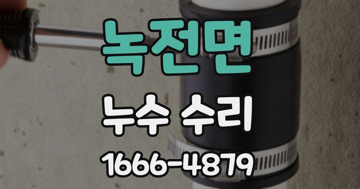 녹전면 누수 수리