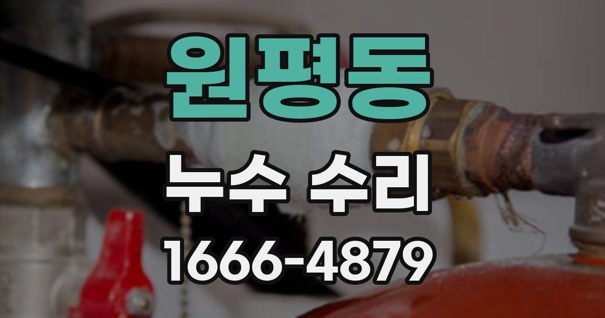 원평동 누수 수리