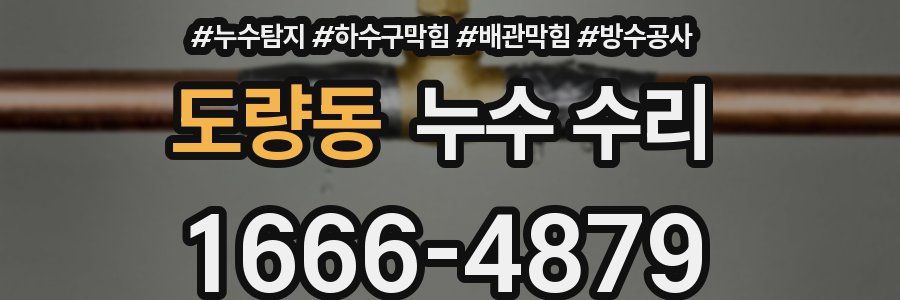 도량동 누수 수리