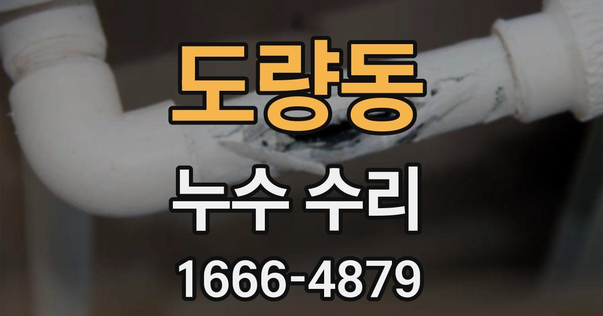 도량동 누수 수리