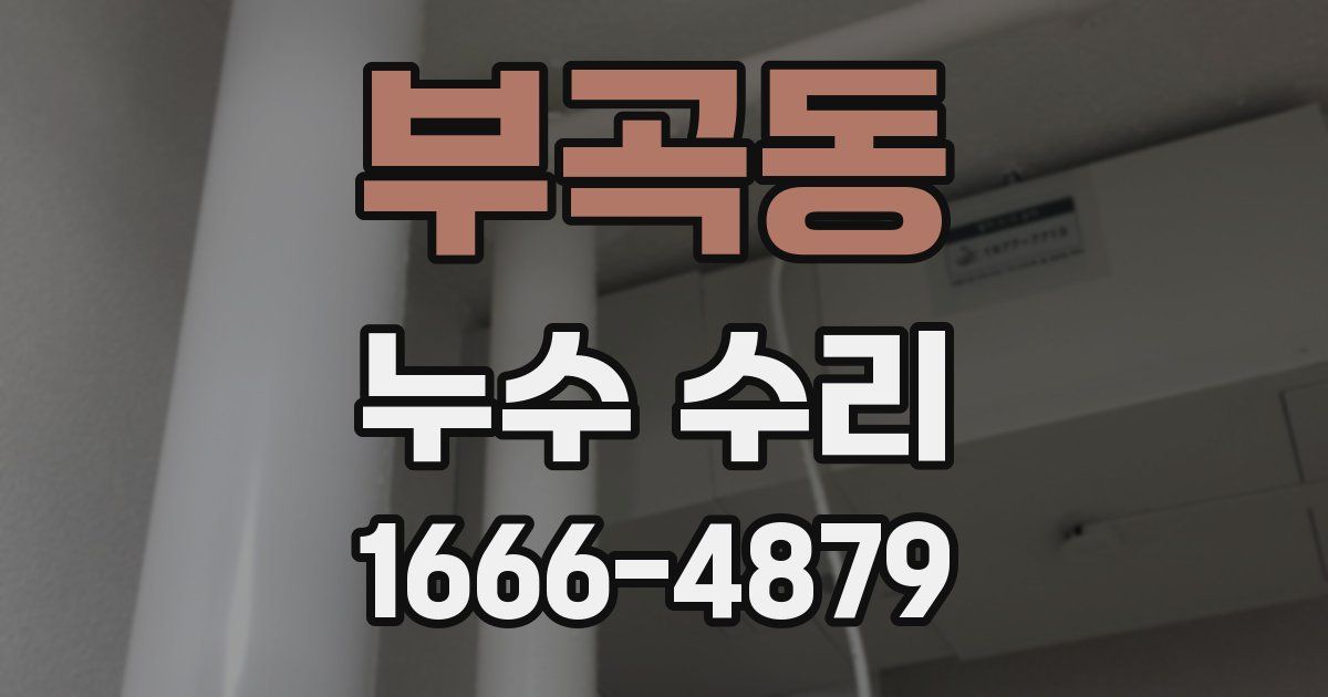 부곡동 누수 수리