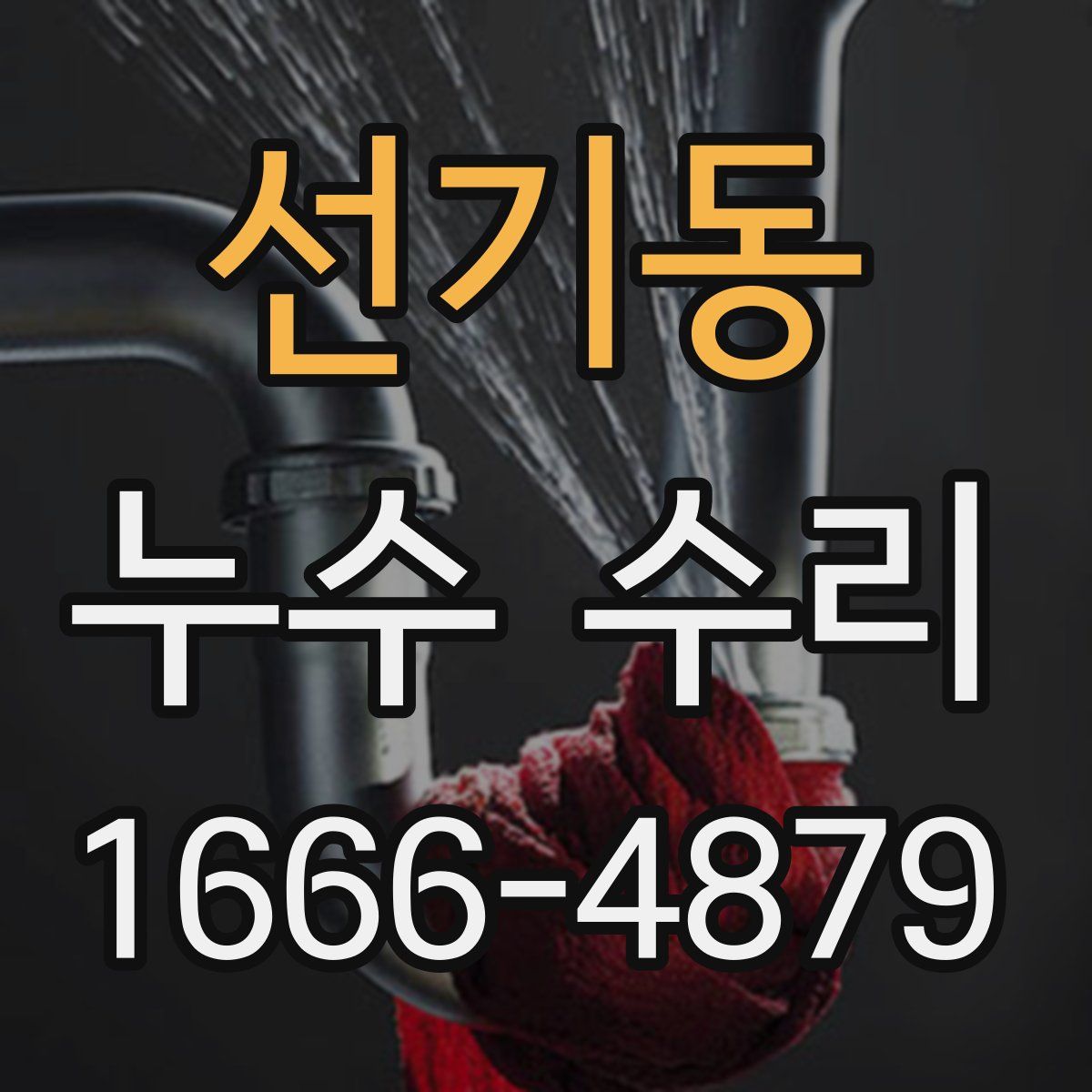 선기동 누수 수리