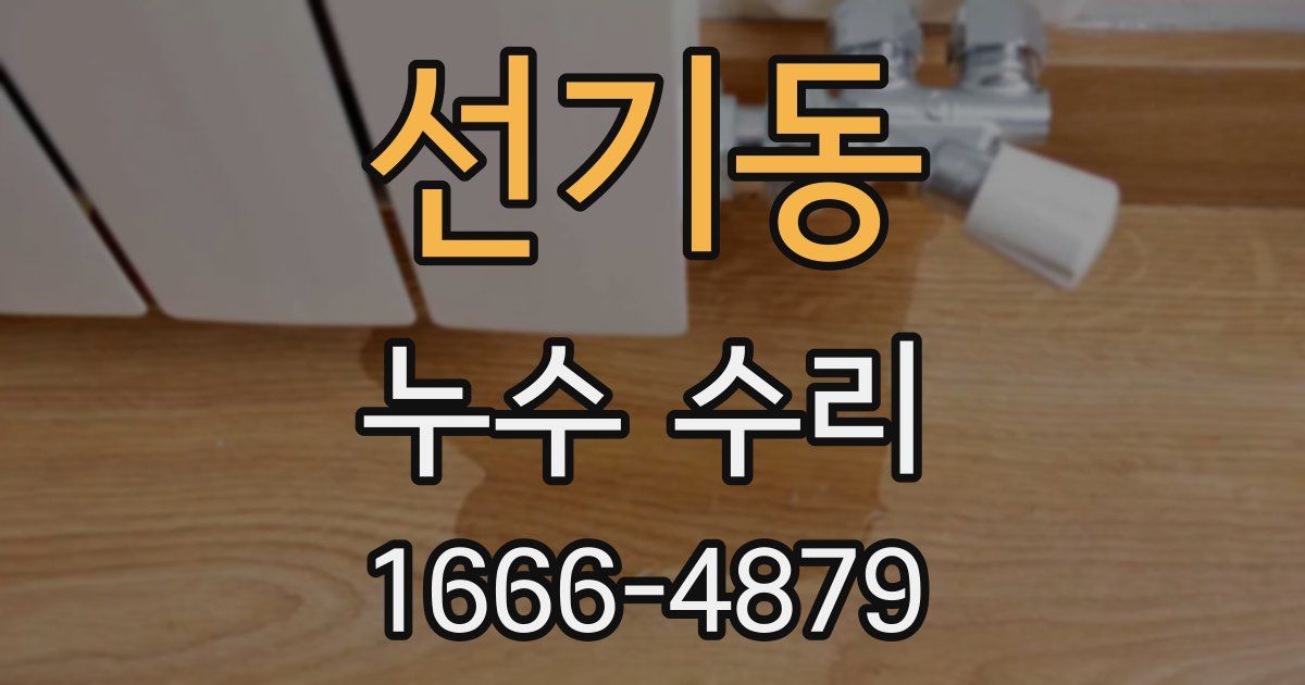 선기동 누수 수리