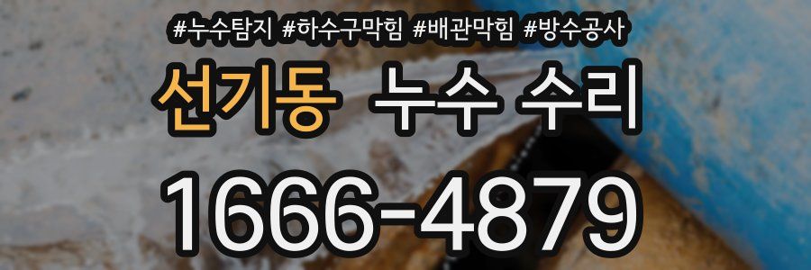 선기동 누수 수리