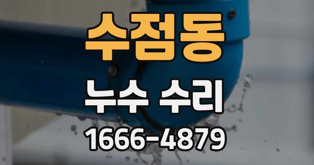 수점동 누수 수리