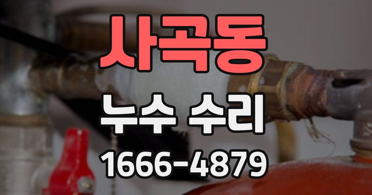 사곡동 누수 수리