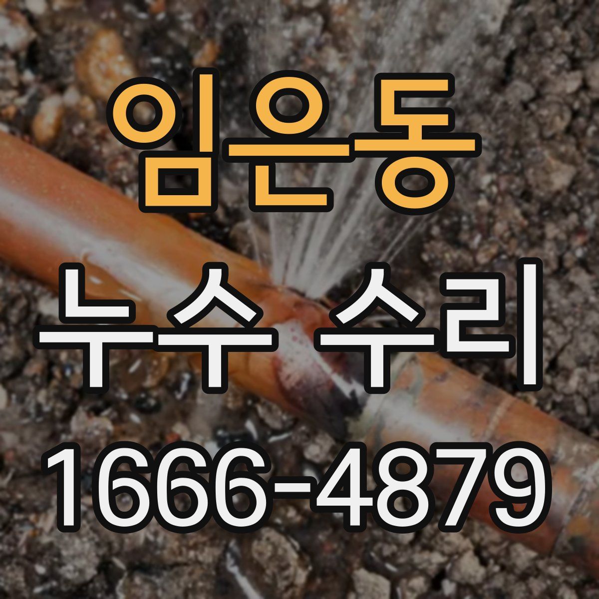 임은동 누수 수리