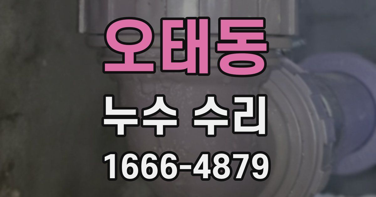오태동 누수 수리