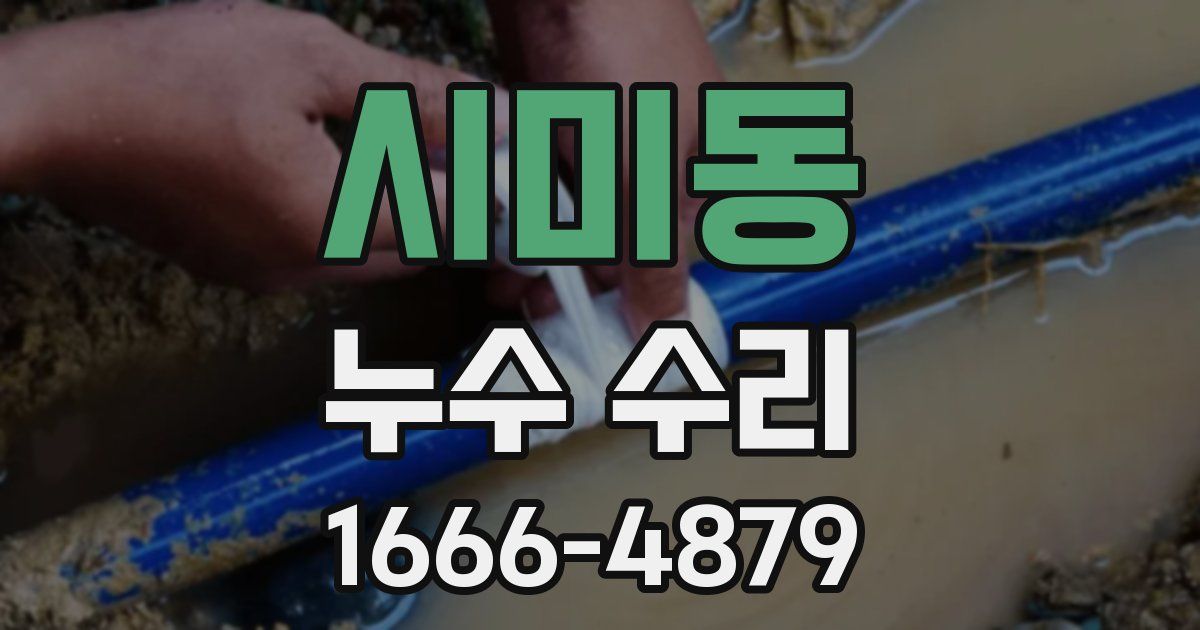 시미동 누수 수리