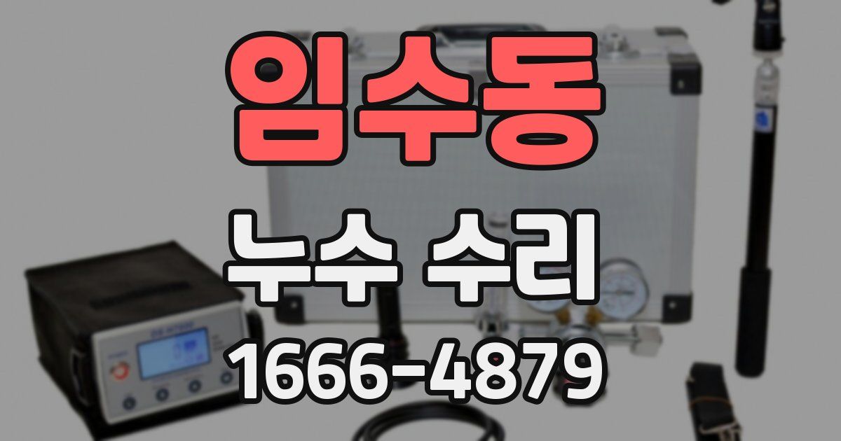 임수동 누수 수리