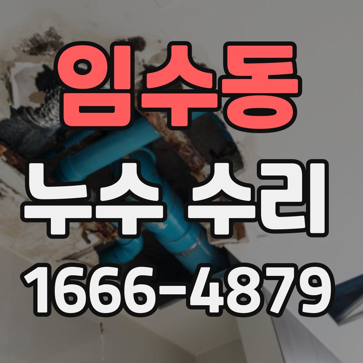 임수동 누수 수리