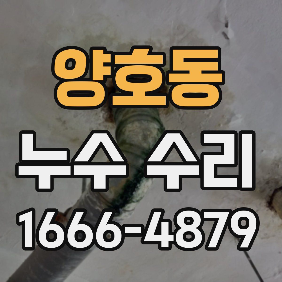 양호동 누수 수리