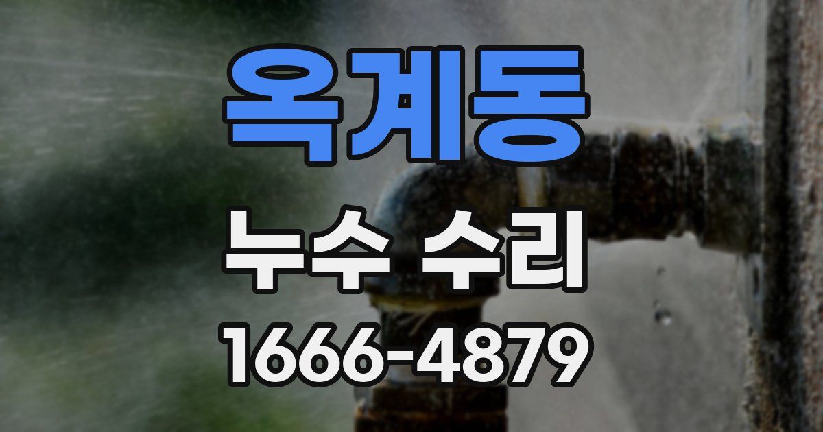 옥계동 누수 수리