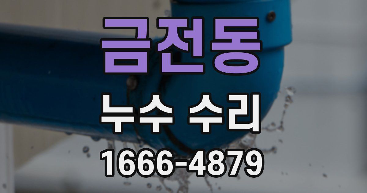 금전동 누수 수리