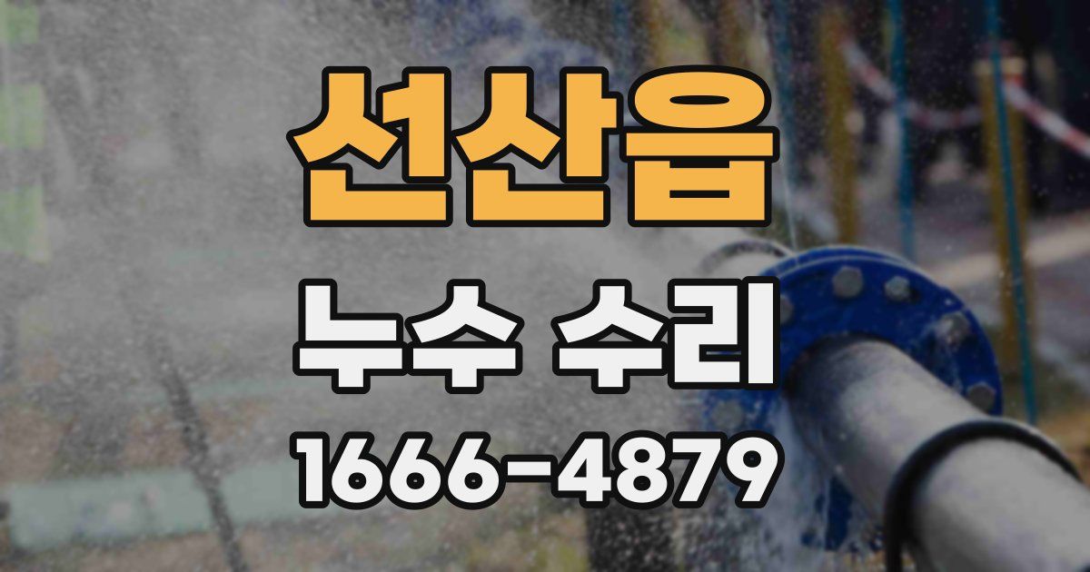 선산읍 누수 수리