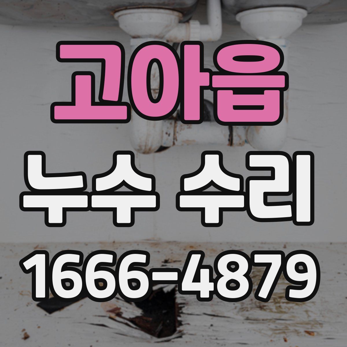 고아읍 누수 수리