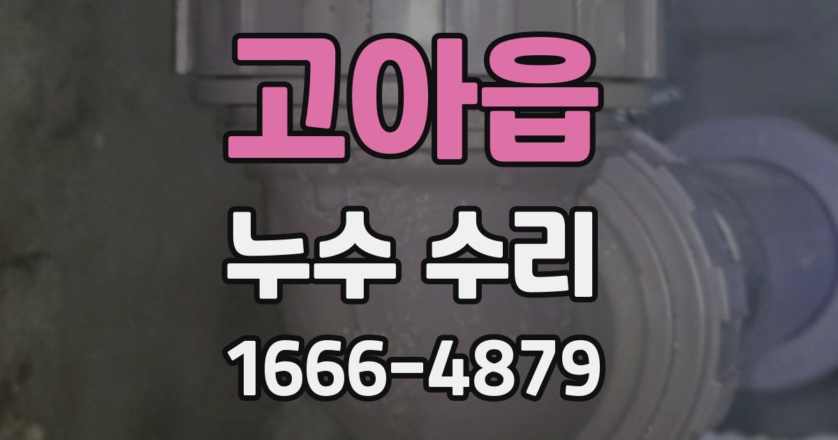 고아읍 누수 수리