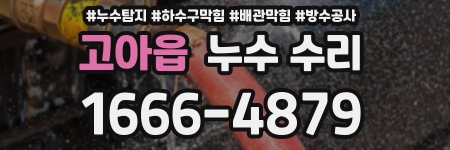 고아읍 누수 수리