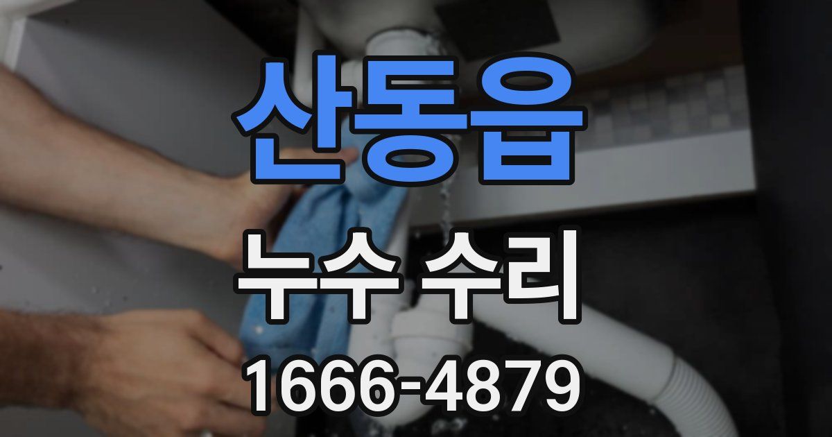 산동읍 누수 수리