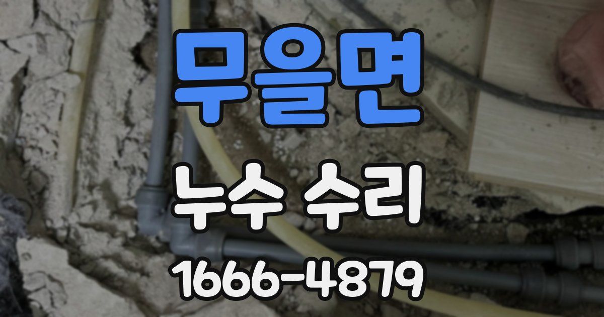 무을면 누수 수리