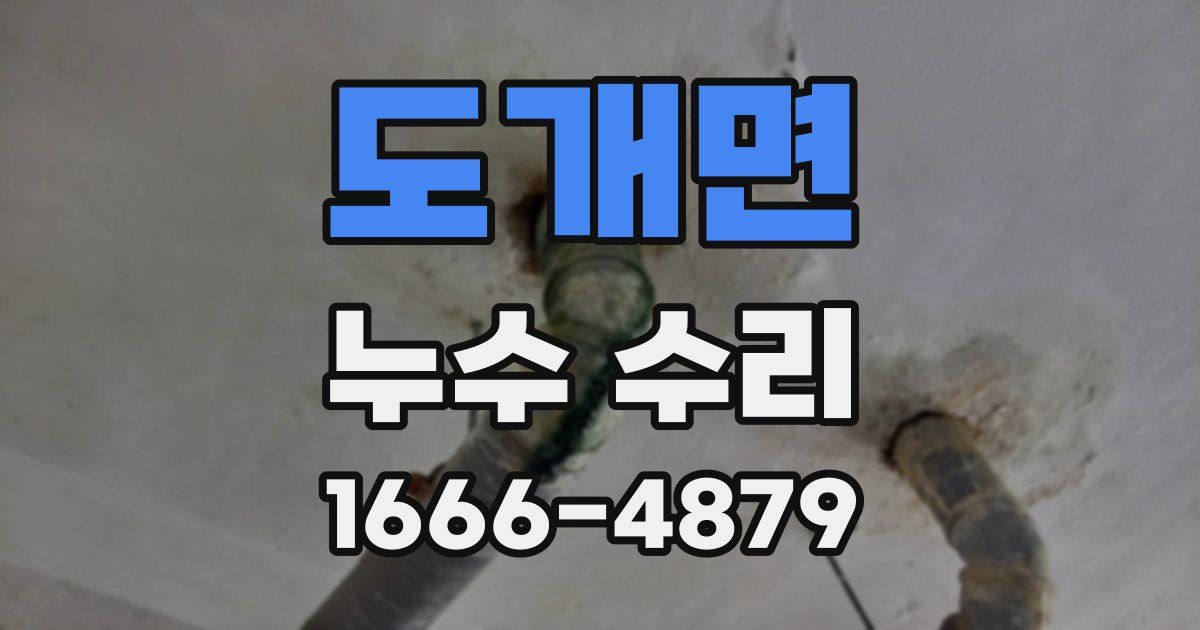 도개면 누수 수리