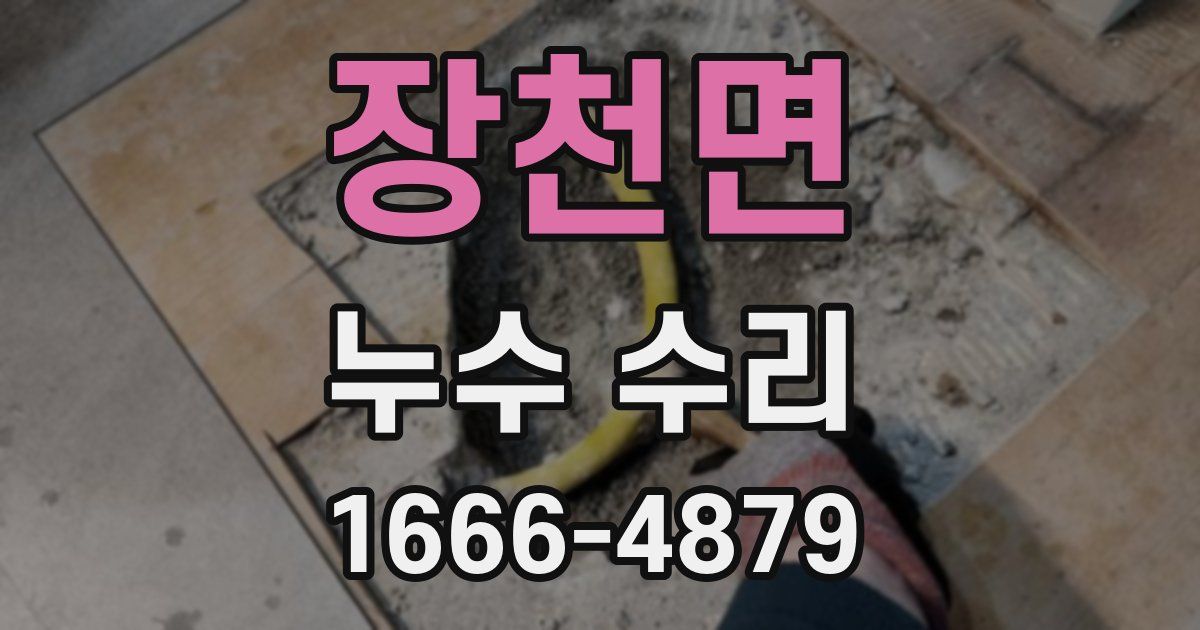 장천면 누수 수리