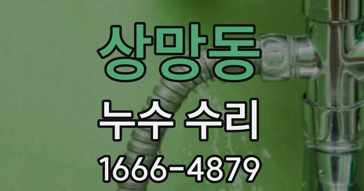 상망동 누수 수리