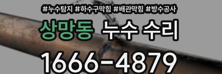 상망동 누수 수리