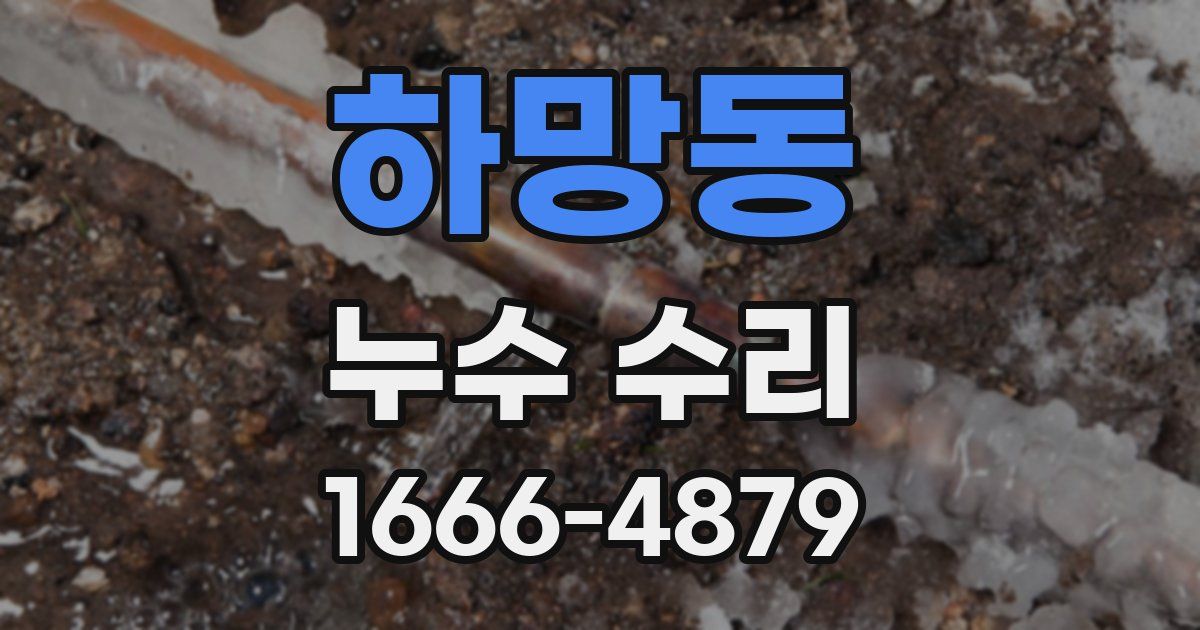 하망동 누수 수리