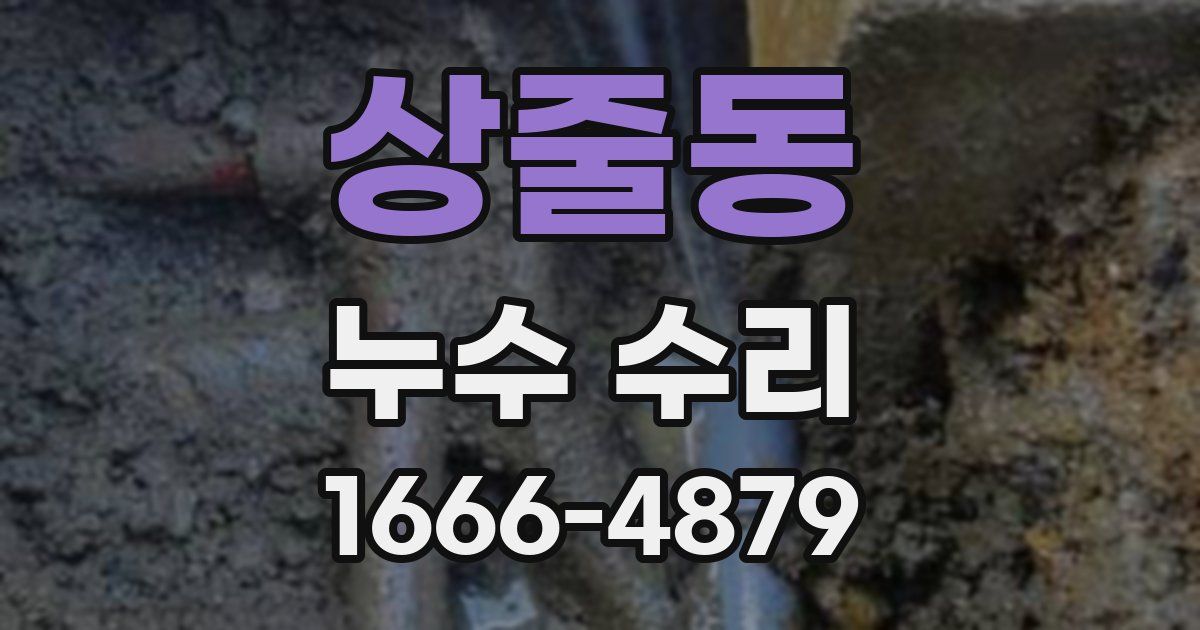 상줄동 누수 수리
