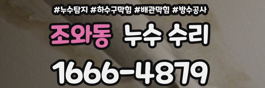 조와동 누수 수리