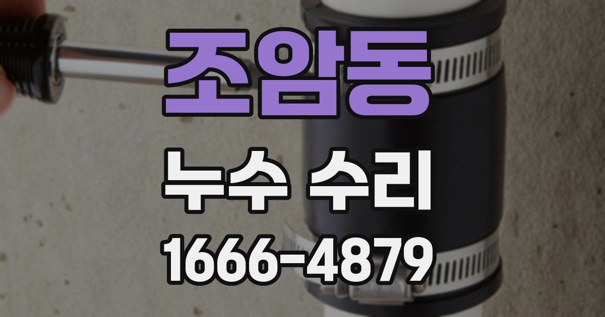 조암동 누수 수리