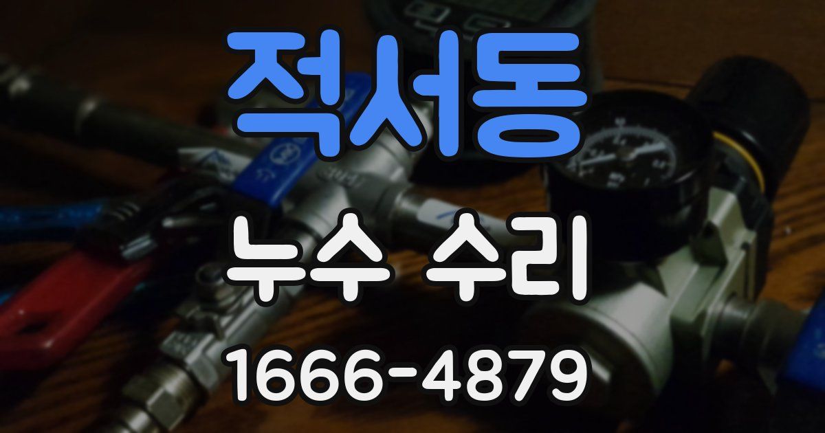 적서동 누수 수리
