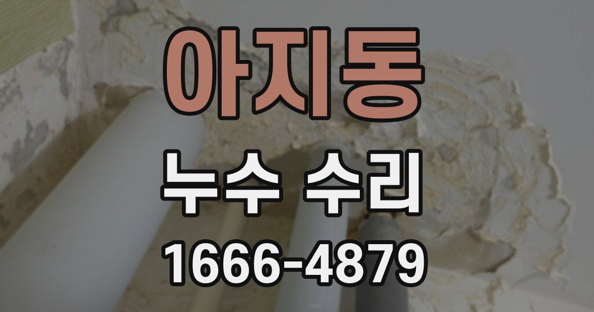 아지동 누수 수리