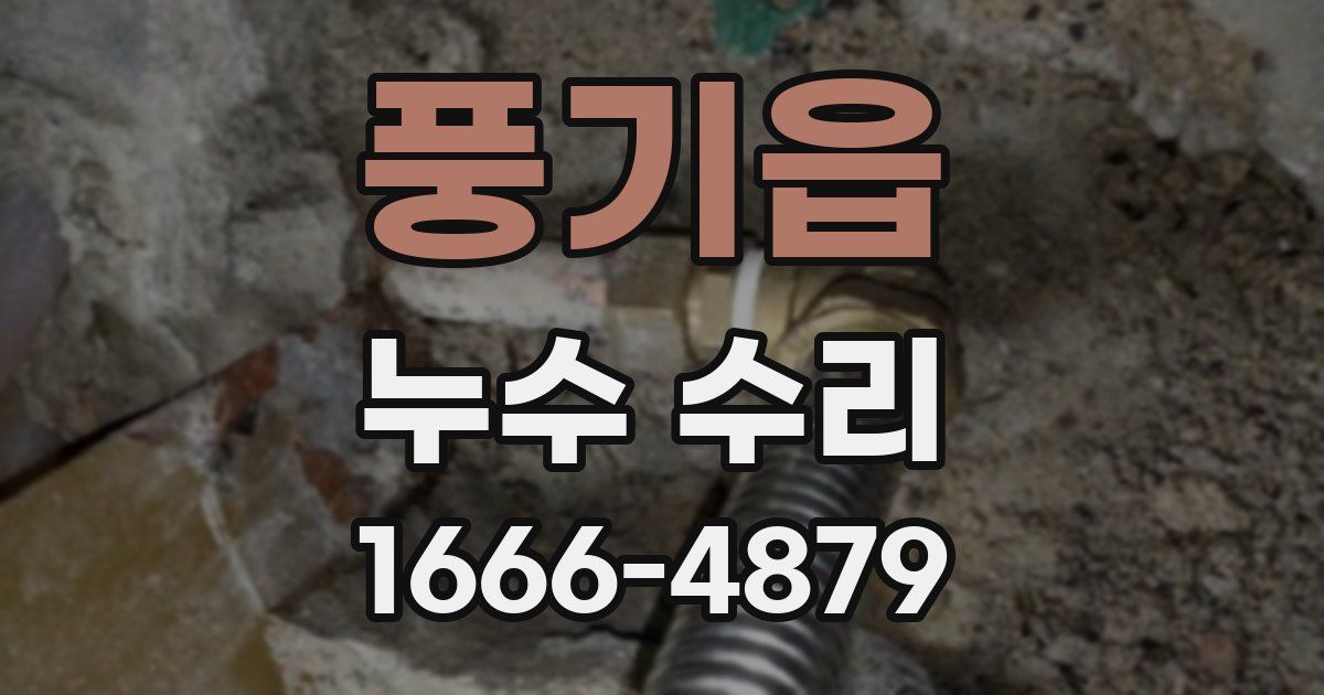 풍기읍 누수 수리
