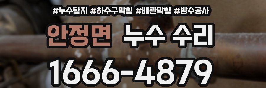안정면 누수 수리