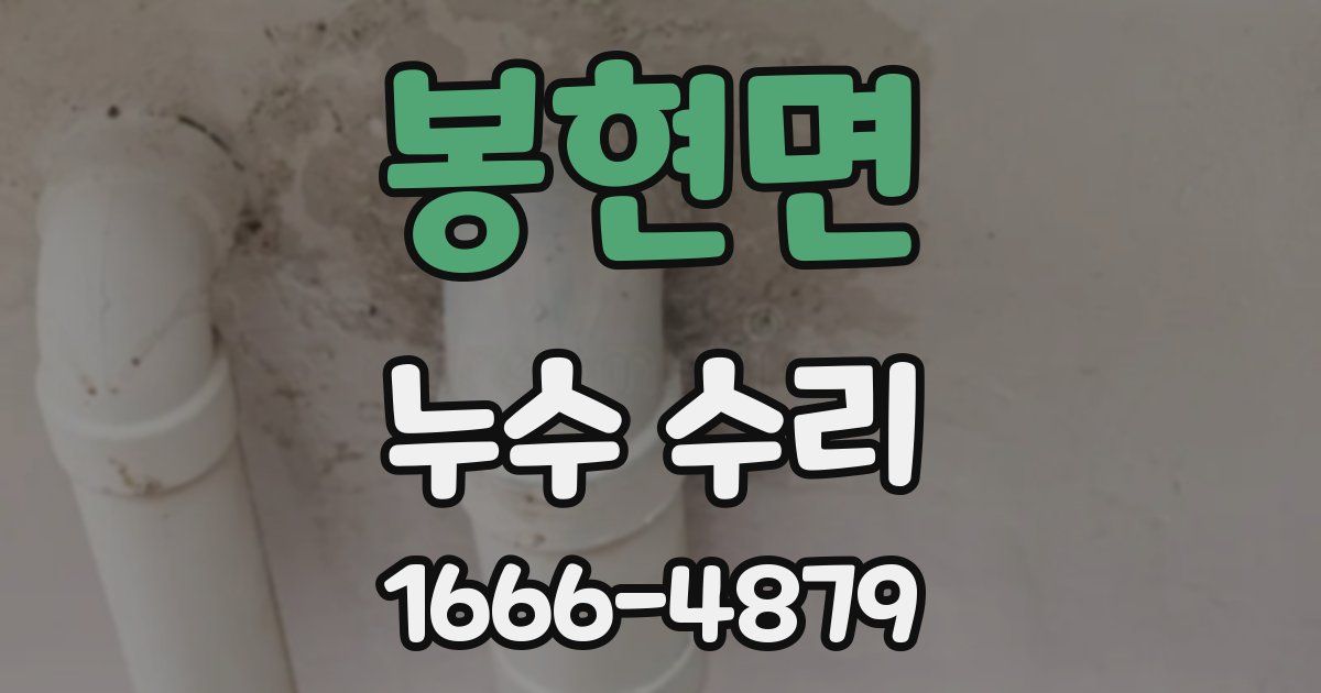 봉현면 누수 수리