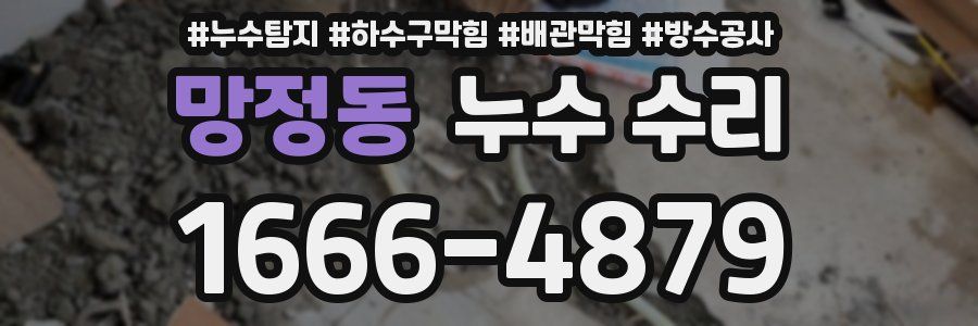 망정동 누수 수리