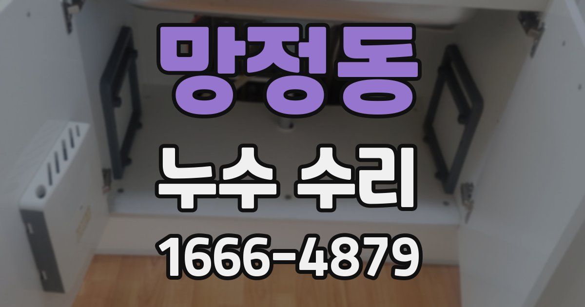 망정동 누수 수리
