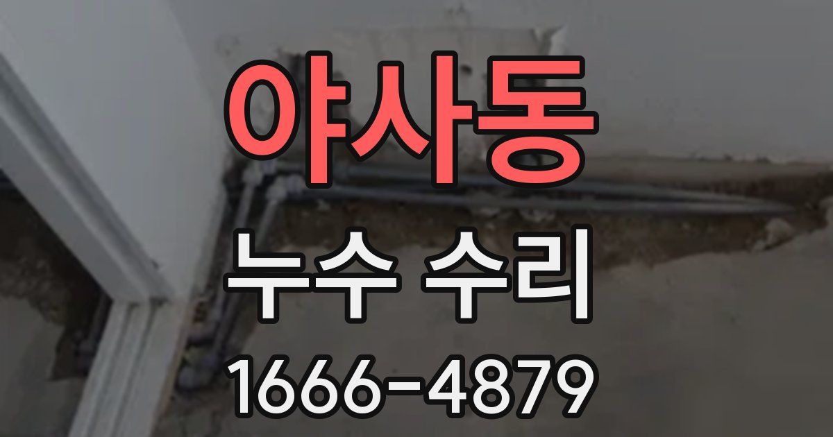 야사동 누수 수리
