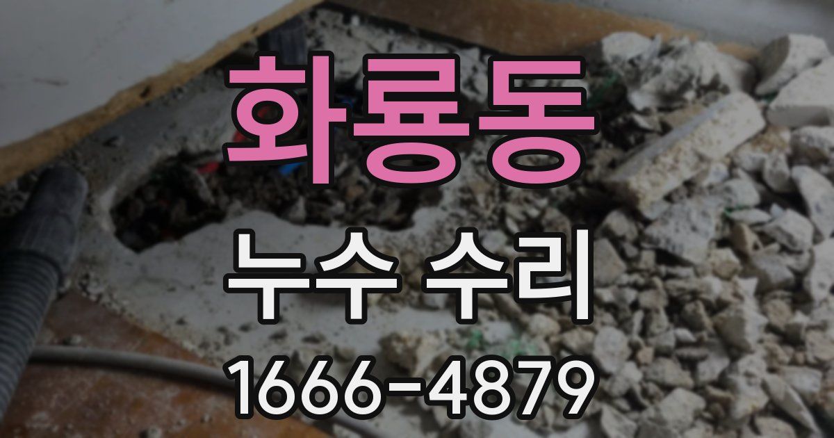 화룡동 누수 수리